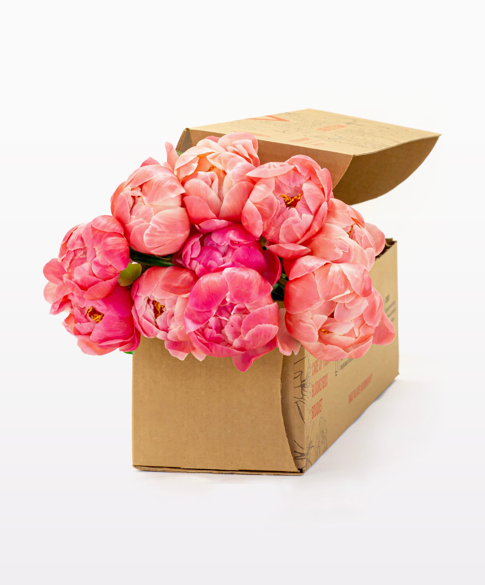 Delicate pink peonies beautifully arranged in a stylish floral gift box.